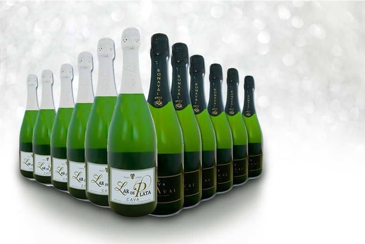 easy-gifts--Selection-of-12-bottles-of-Extremadura-Bonaval-Brut-Cava