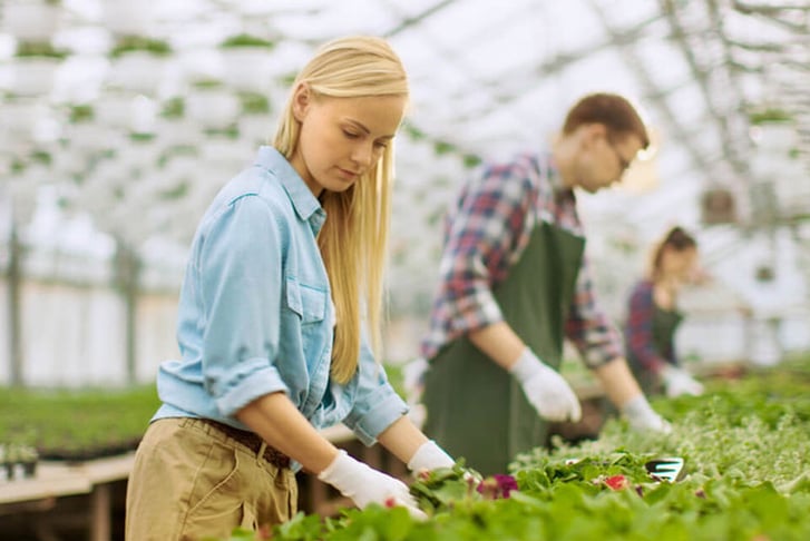 Online Horticulture & Organic Gardening Course