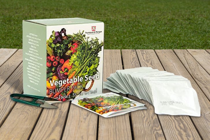 Vegetable-Bumper-Seed-Kit-1