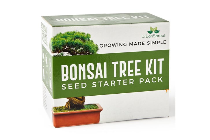 Grow Your Own Bonsai Tree Starter Kit – Urban Sprout
