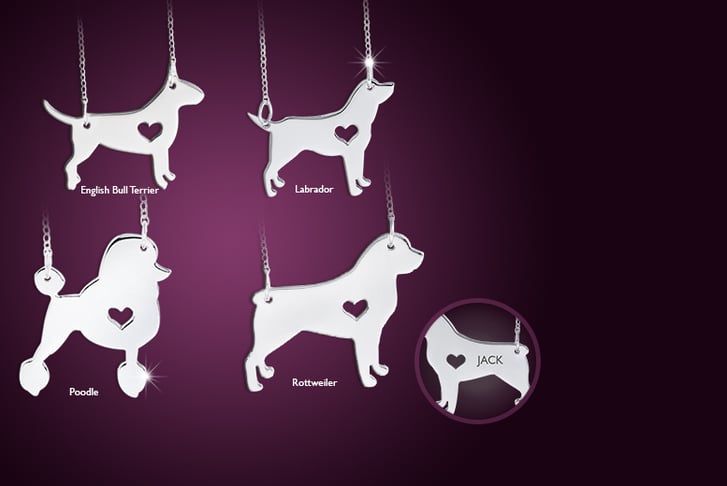 CIAN-JEWELS-PERSONALISED-DOG-NECKLACE