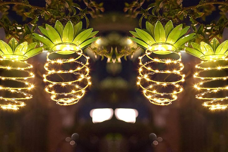 Pineapple shop solar lights