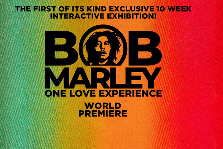 Bob Marley Exhibition Entry Ticket – Saatchi Gallery, Chelsea  