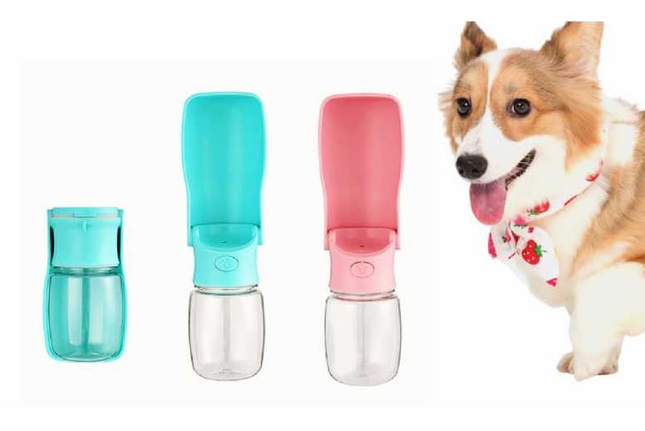 Dog travel 2024 water bottle