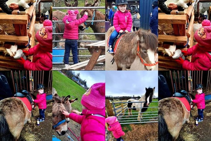 Ride and Play Session for Up to Four Kids - Turlood Equestrian Centre