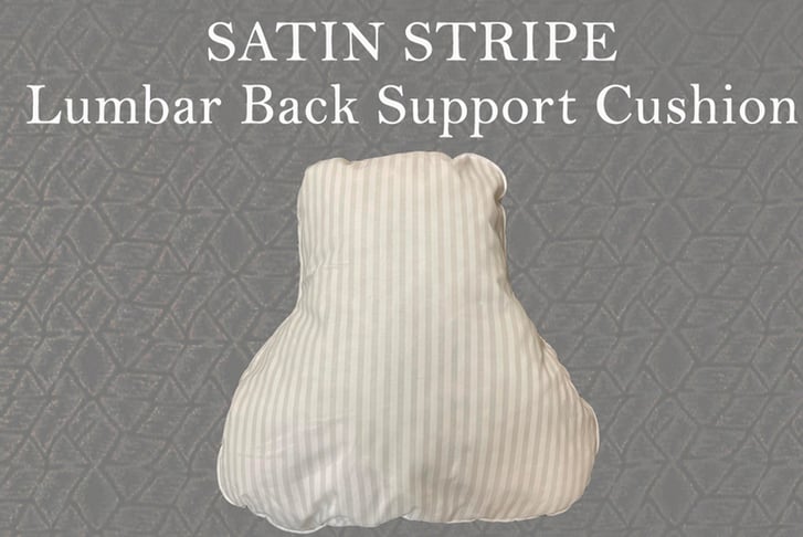 Satin-Stripe-Lumbar-Back-Support-Cushion-1