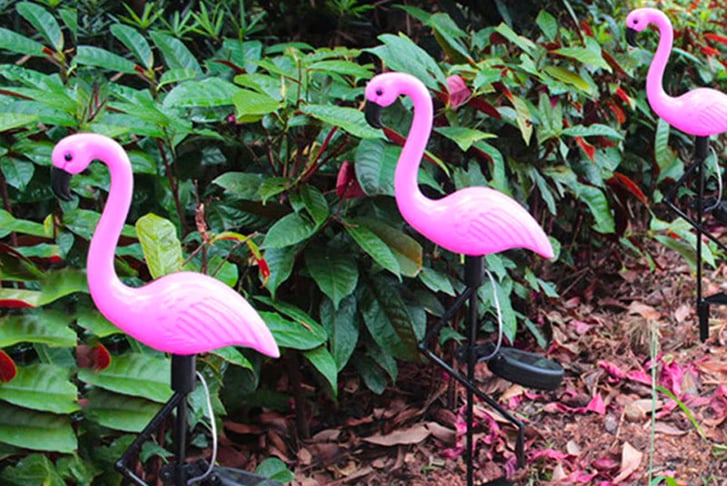 Pink-Flamingo-Solar-Garden-Lamp-5