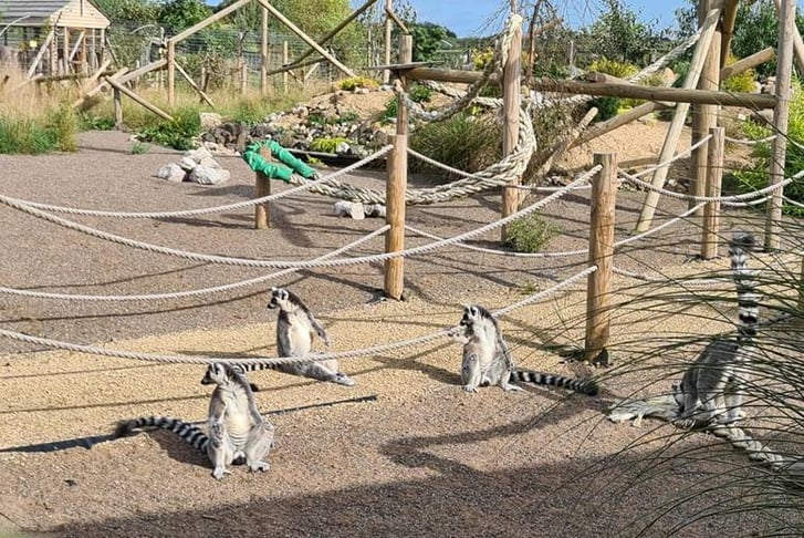 Fife Zoo Entry Ticket - Kids and Adult Tickets - The Perfect Day Out! 