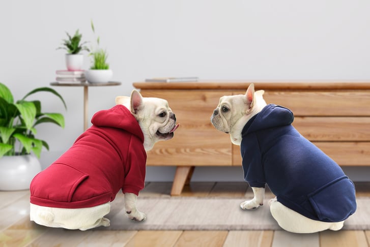 1-LEAD-SPORTY-PET-CLOTHES-FOR-DOGS-AND-CATS