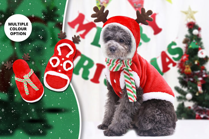 XMAS-COSTUME-FOR-PET-1