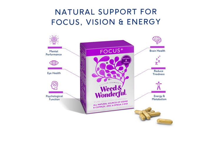 Focus+-Supplements-1a