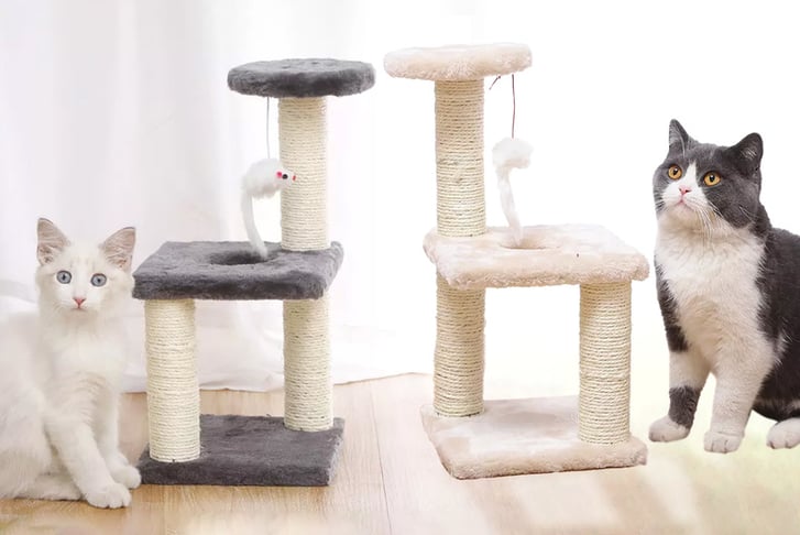 CAT-SCRATCHING-POST-WITH-PLUSH-BALL-TOY-1