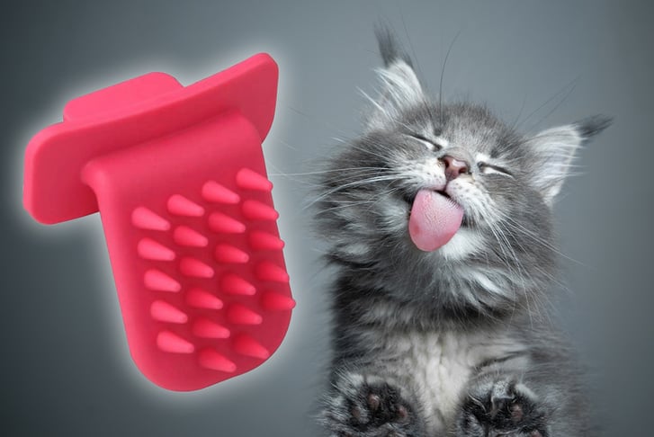 Cat sales tongue brush