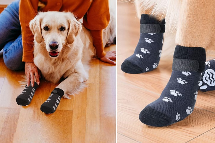 Non-Slip Dog Socks Deal - Wowcher