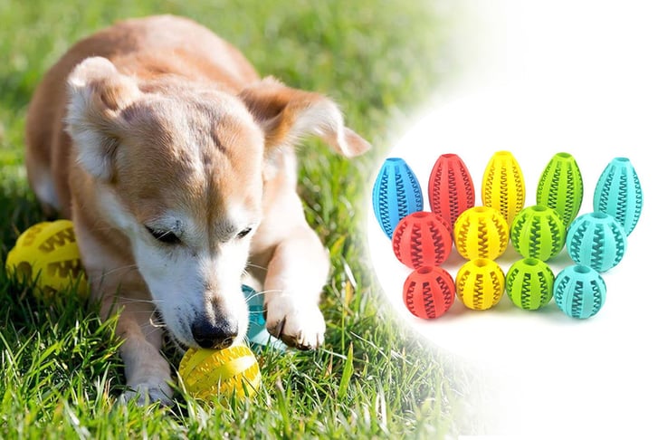 Multi-colour-DURABLE-TEETHING-DOG-CHEW-TOYS-1