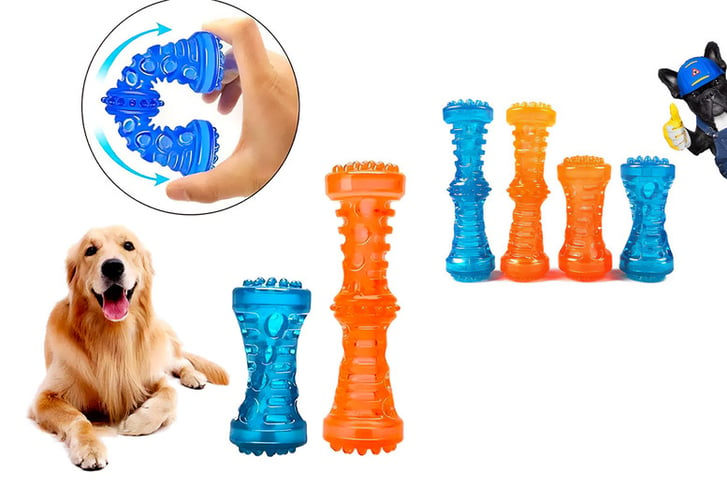 Small-&-Large-TPR-DOG-TEETH-CLEAN-CHEWING-TOY-BLUE-&-ORANGE-1