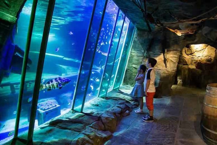 Exploris Aquarium Experience - Portaferry