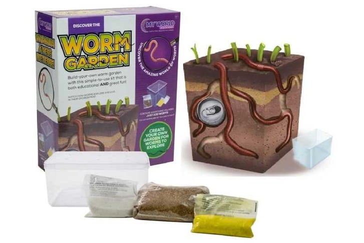 tmpWormGarden1676303612519