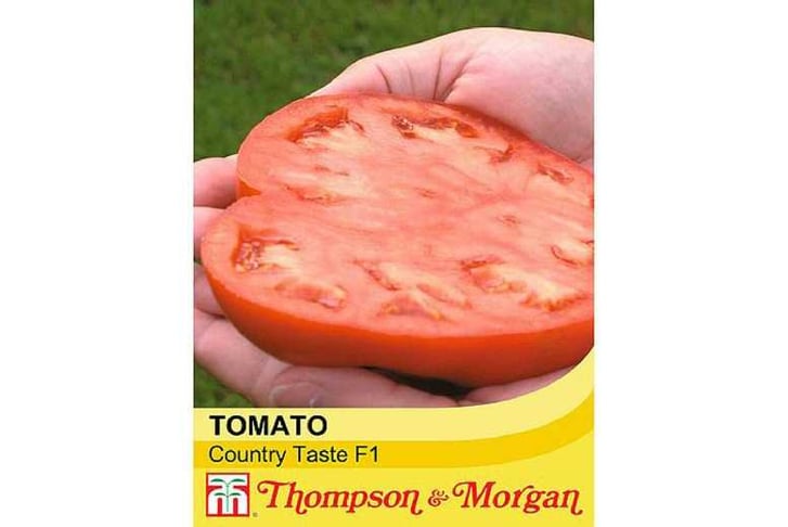 Beefsteak Tomato Country Taste Cordon Garden Vegetable Seeds Wowcher