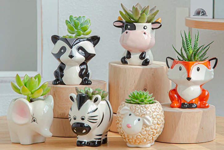 Mini-Animal-Shape-Cute-Succulent-Flower-Pot-1