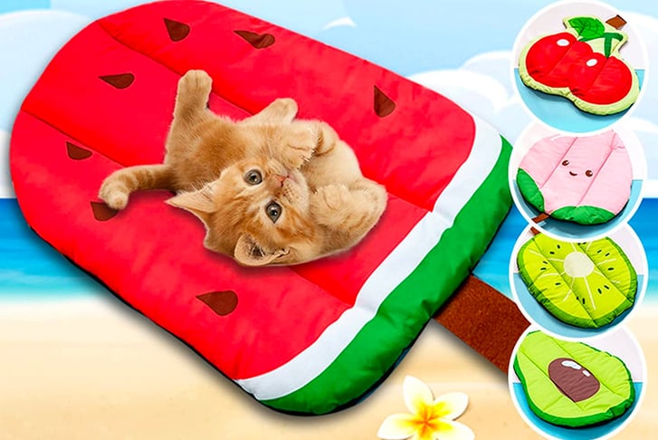 Plushy-cooling-mats-for-cats-&-dogs-1