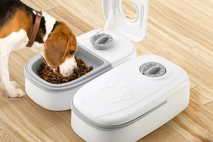 Timed best sale pet feeder