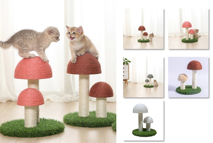 Cute-Mushrooms-Cat-Scratcher-1