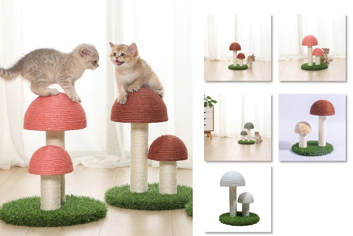 Cute cat hot sale scratching post