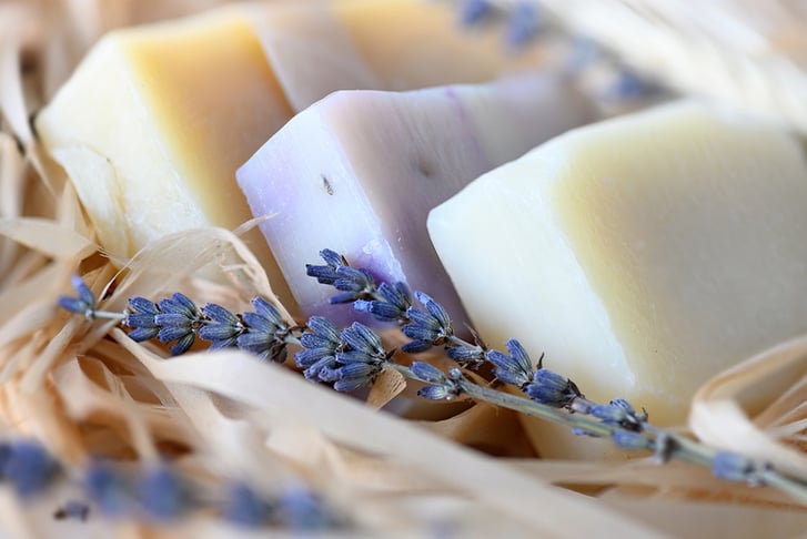 Lavender & Organic Soap Kit 