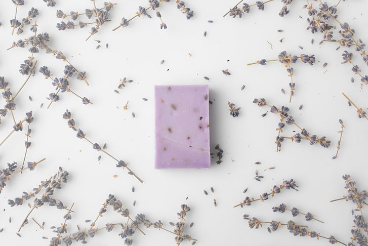 Lavender & Organic Soap Kit 