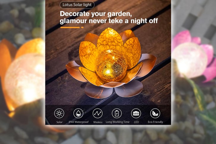 Lotus flower store solar lights