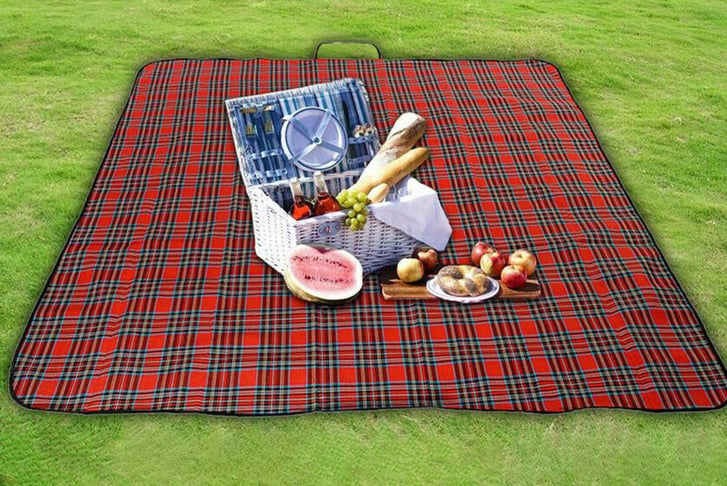 Picnic-Blanket-with-waterproof-backing-1