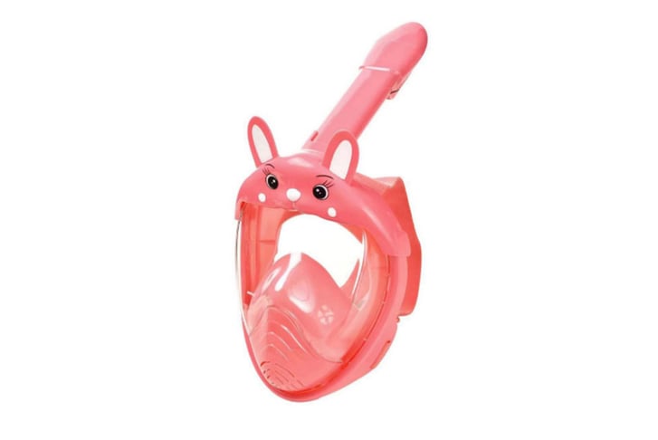 Cartoon-Diving-Snorkelling-Mask-2