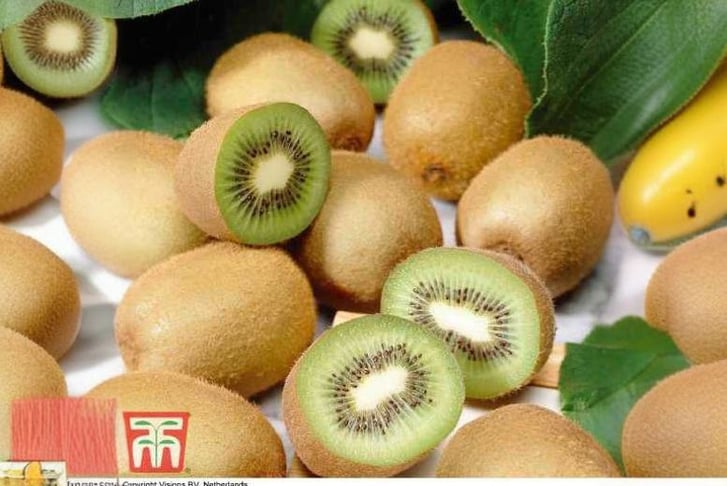 KIWI-CWW331692104121489