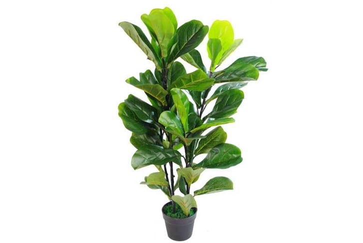 LEAF-7147-1692117276761