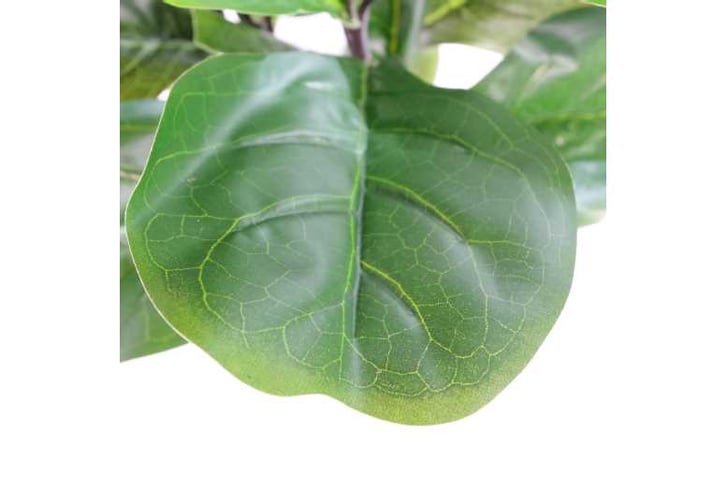LEAF-7147-1692117278325