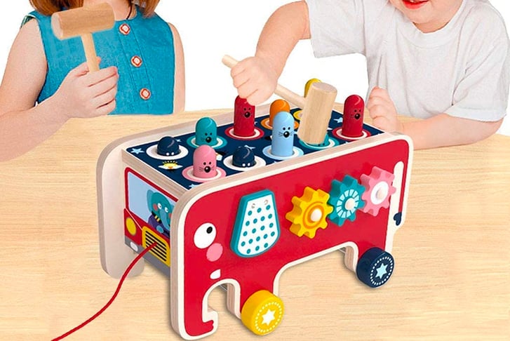 Kids Whack-A-Mole Activity Toy-1