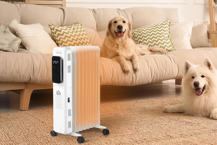 Radiator-with-Timer-1