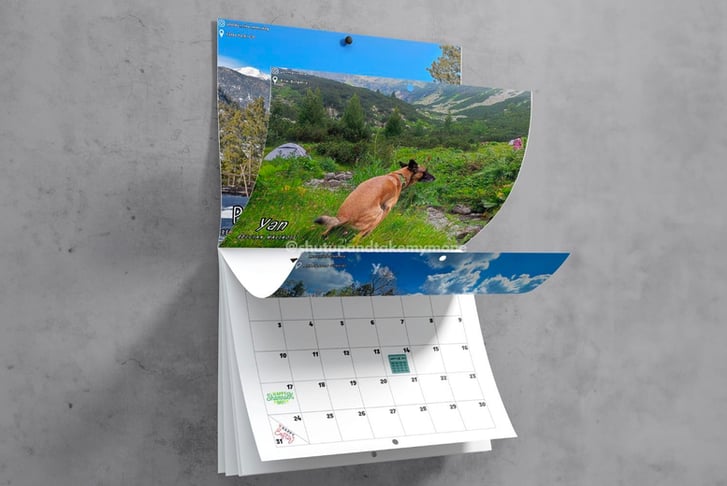 Dogs Pooping in Beautiful Places 2024 Calendars Offer Wowcher