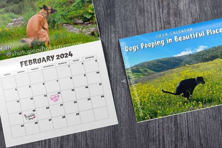 Dogs Pooping in Beautiful Places 2024 Calendars Offer Wowcher