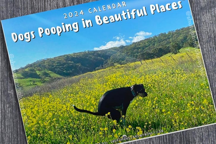 Dogs-Pooping-In-Beautiful-Places-2024-Calendar-1