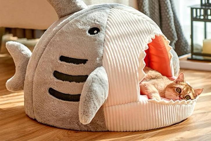 Cosy-Shark-Pet-Bed-4