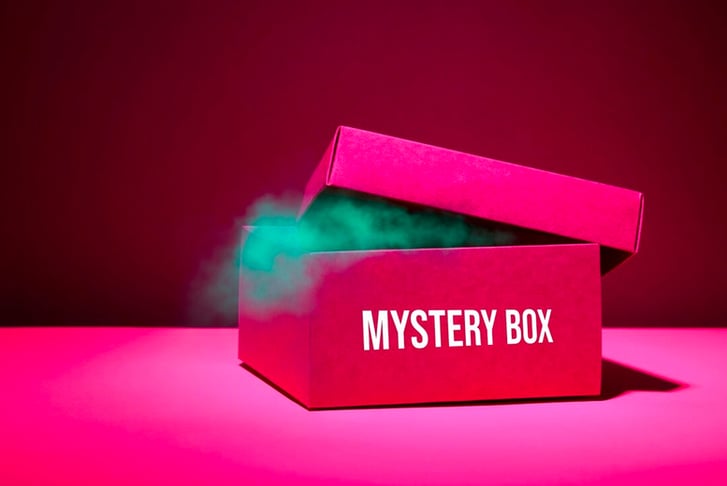 Gadget-Mystery-Box-2