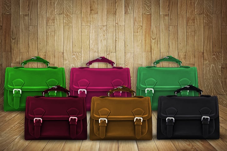 Trendy Look - Satchel Bags2