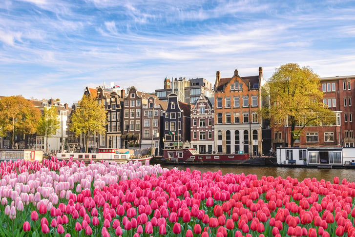 amsterdam in spring