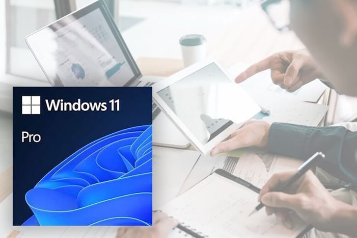 Windows 11 Home or Pro - ZAK Learning