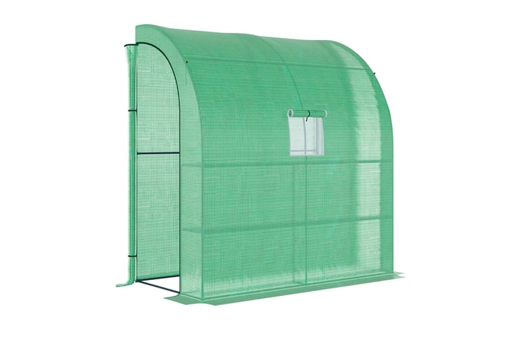 32383496-Walk-In-Lean-to-Wall-Greenhouse-with-Windows-and-Doors-2-Tiers-4-Wired-Shelves-200L-x-100W-x-213Hcm-Green-2