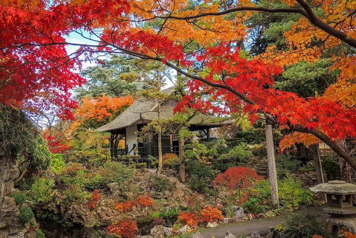 japanese_gardens_in_autumn