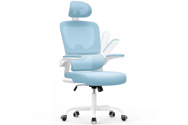 Executive-Swivel-Computer-Chair-11