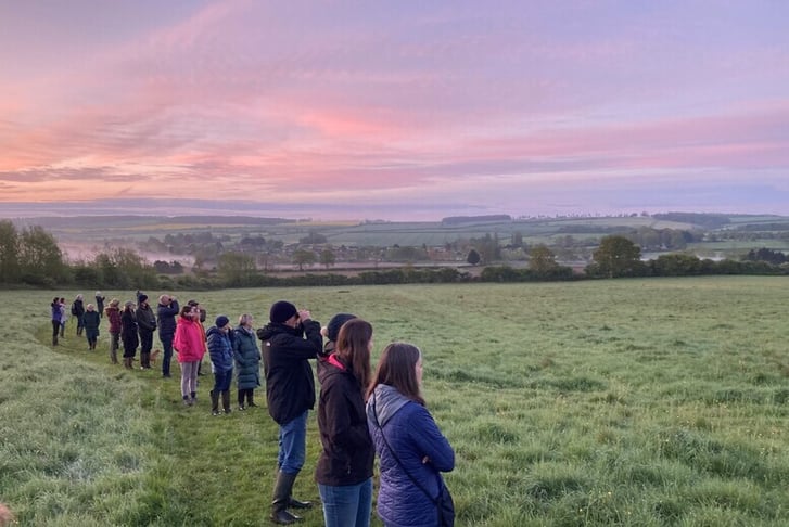 Wildlife Walking Tour: Insect Experience in the Mendips with Wilder Skies